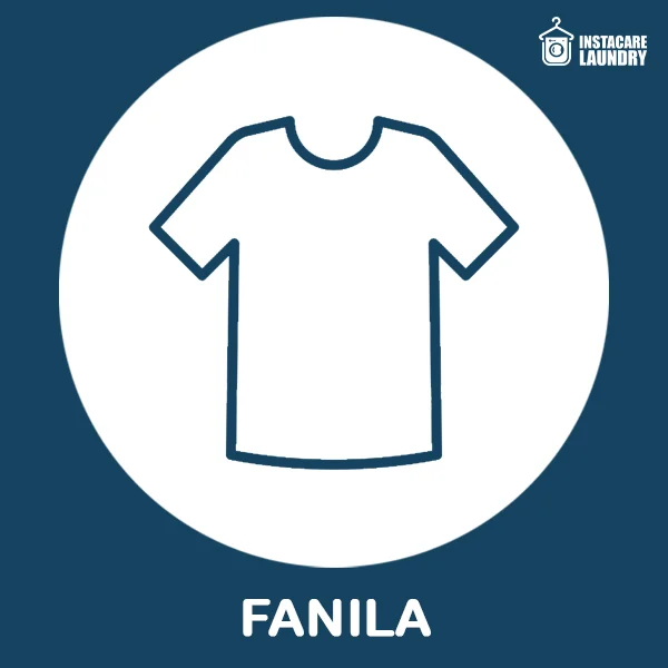 Fanila - Washing & Ironing