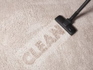 carpet cleaning service